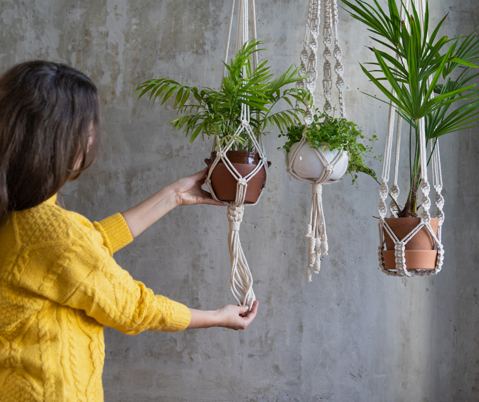 Suporte de macramê para plantas suspensas feito com cordas e argolas